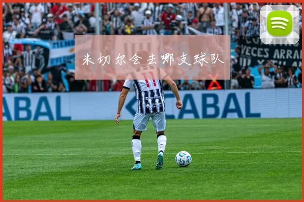 米切尔会去哪支球队